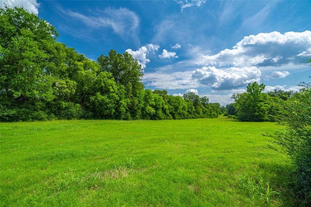 120 acres in Nacogdoches County featured view