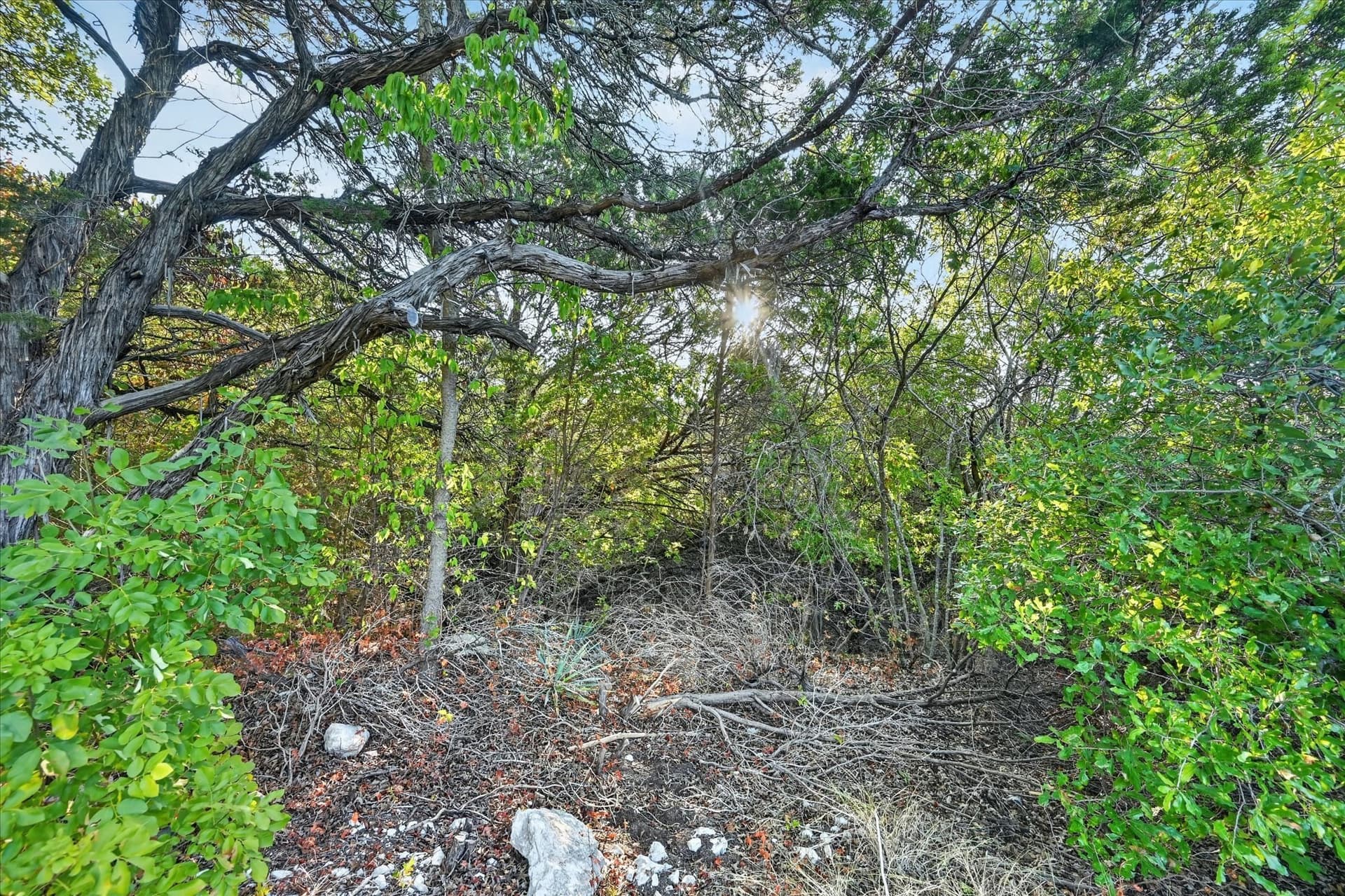 1.08 acres in Johnson County - photo 20