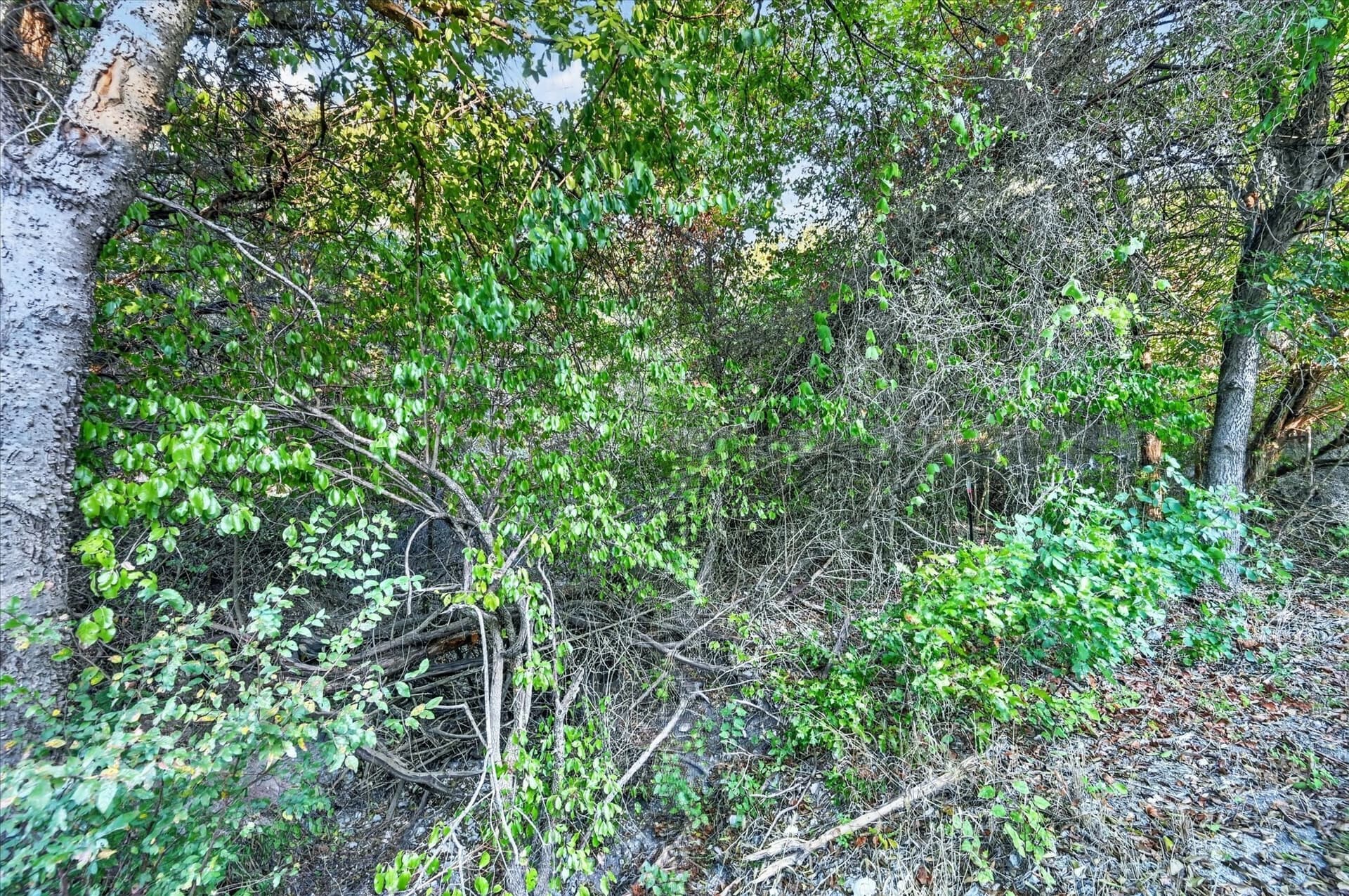 1.08 acres in Johnson County - photo 22
