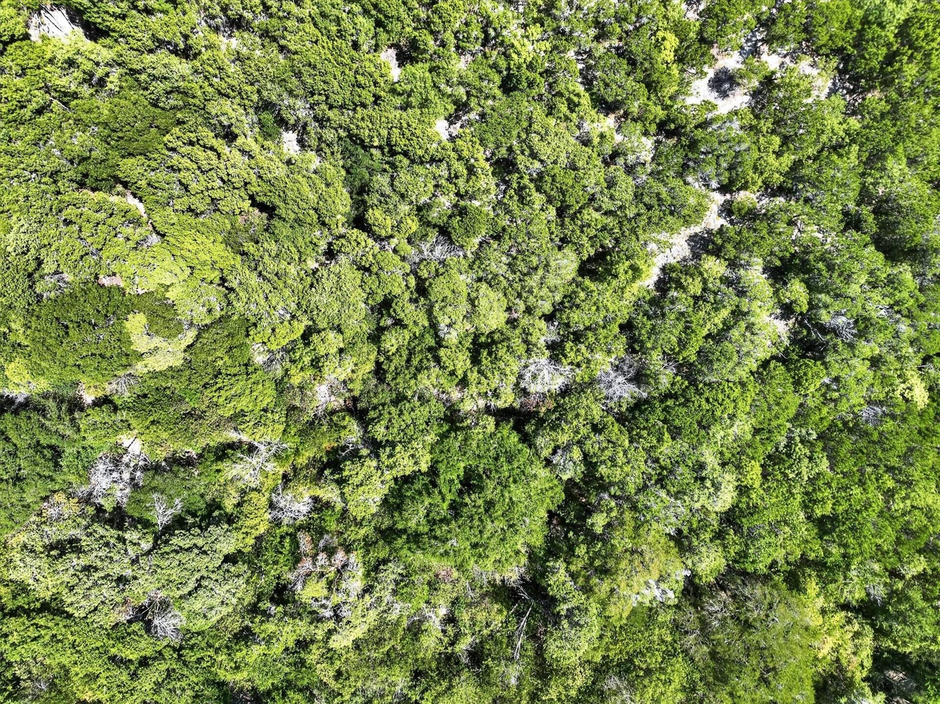 1.08 acres in Johnson County - photo 16