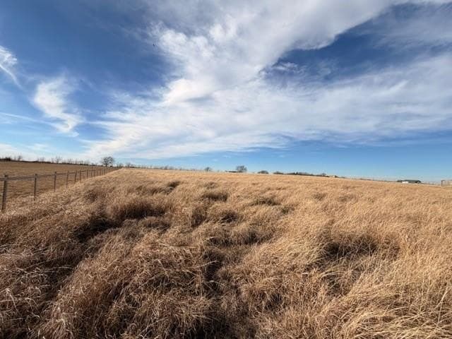 4.1 acres in Grayson County gallery image 4