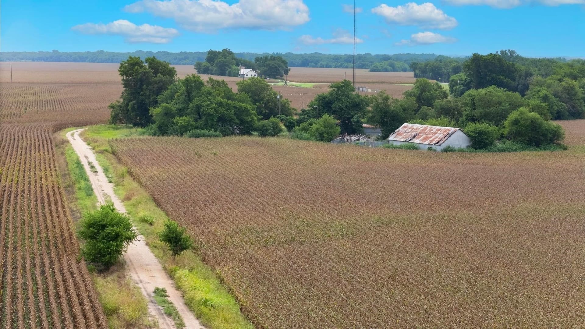 188 acres in Williamson County - photo 14