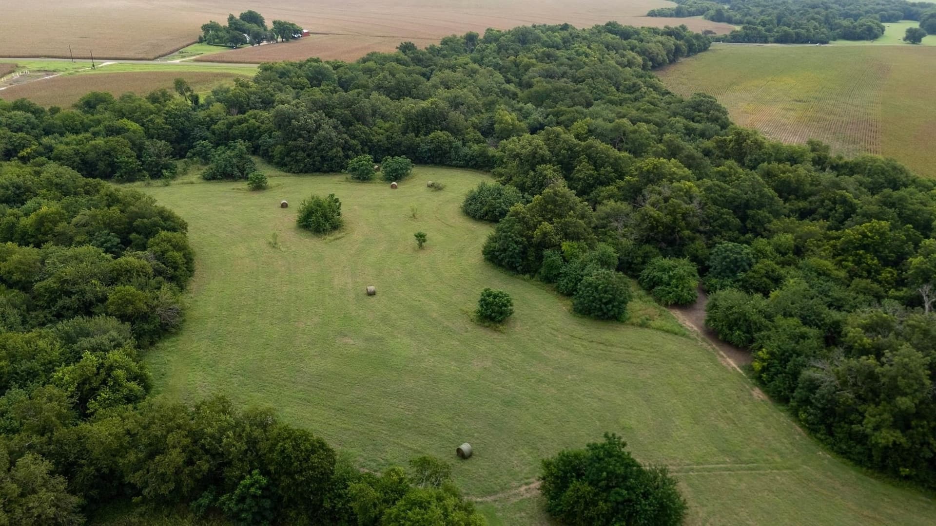 188 acres in Williamson County - photo 11