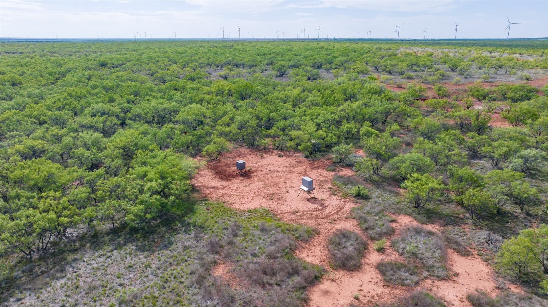 412 acres in Haskell County - photo 9