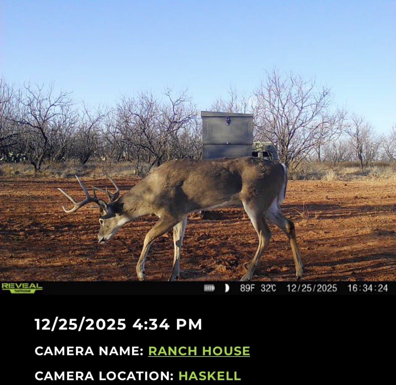 412 acres in Haskell County - photo 35
