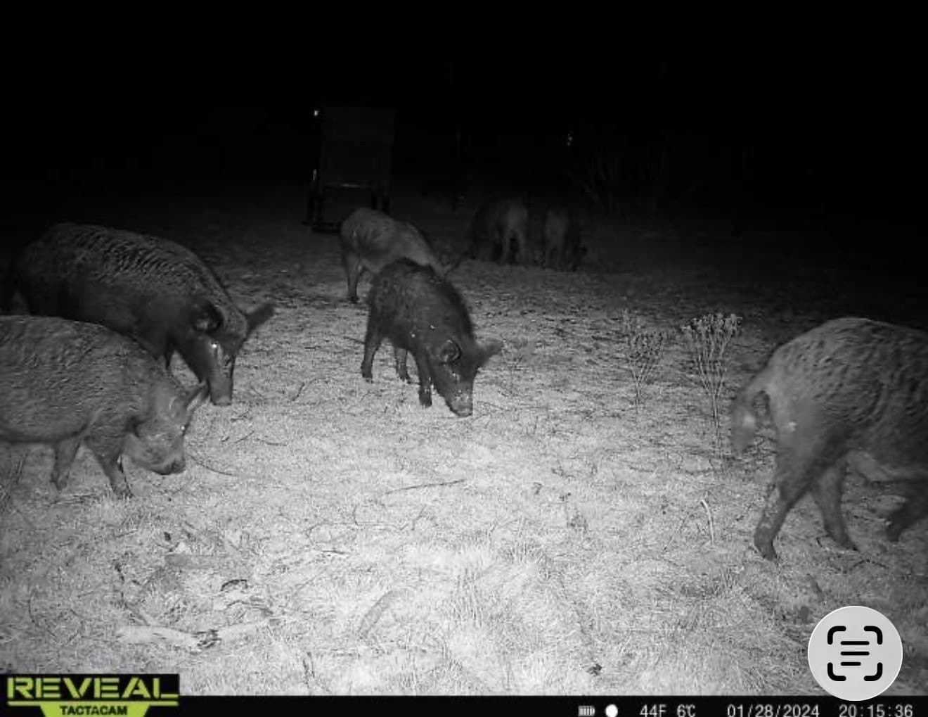 412 acres in Haskell County - photo 38