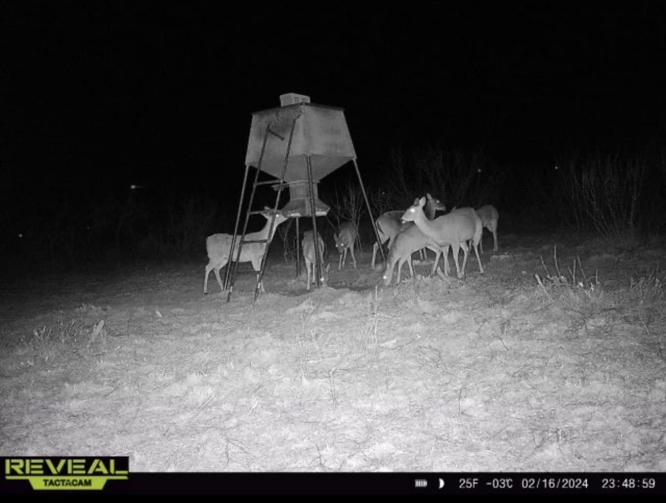 412 acres in Haskell County - photo 40