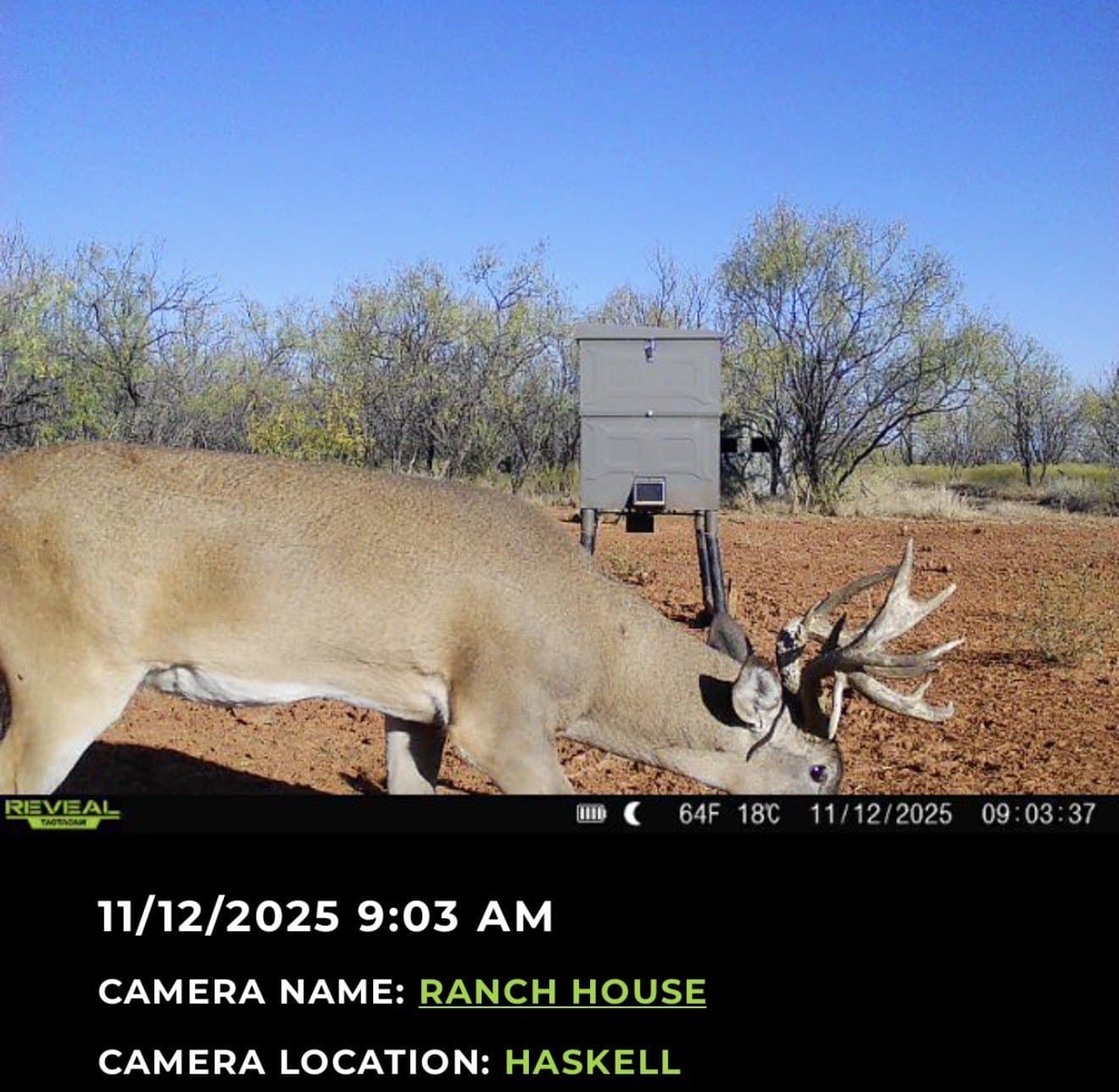 412 acres in Haskell County - photo 36