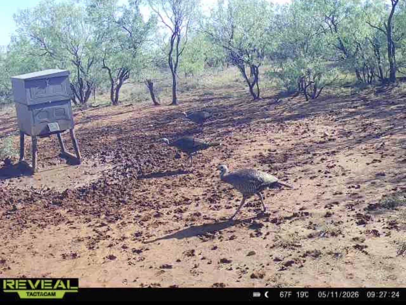412 acres in Haskell County - photo 39