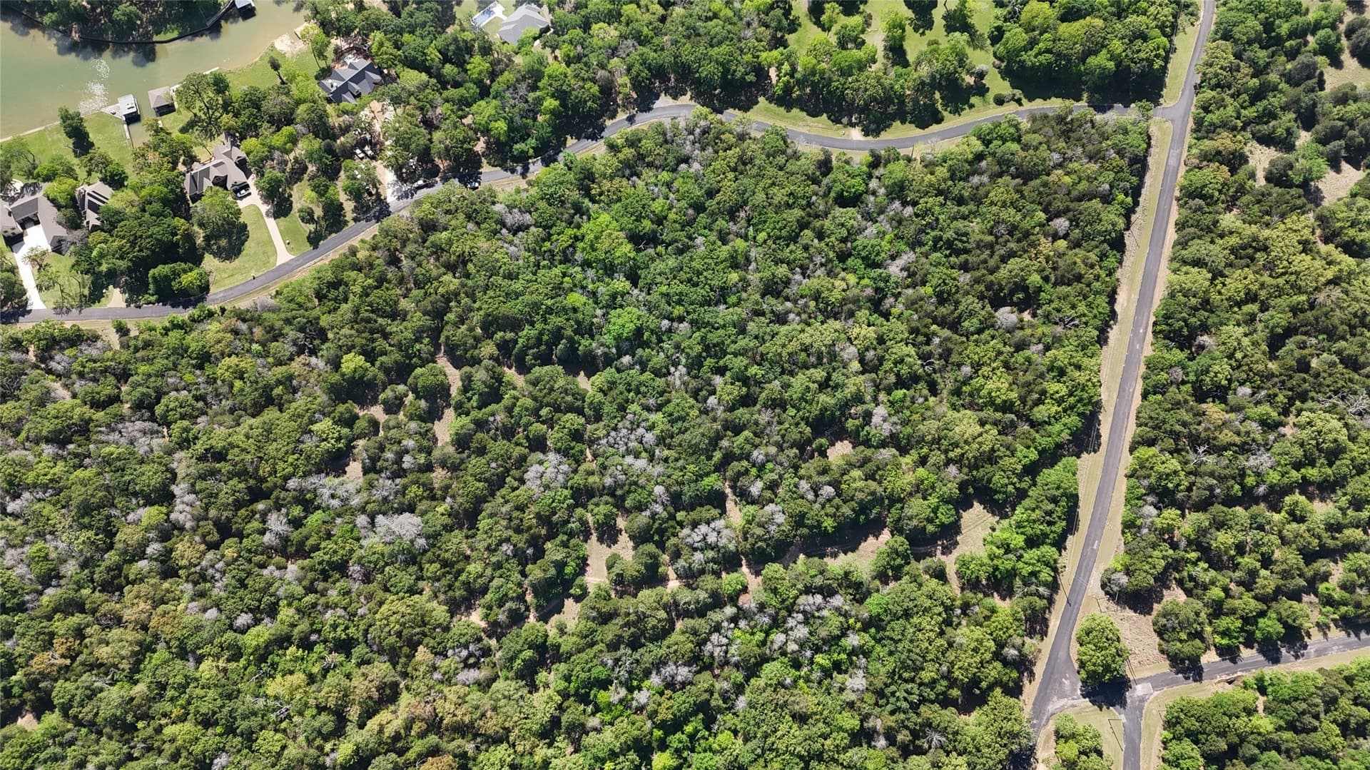1.34 acres in Freestone County - photo 8