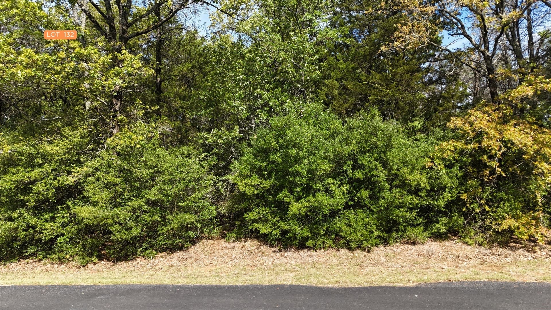1.34 acres in Freestone County featured view