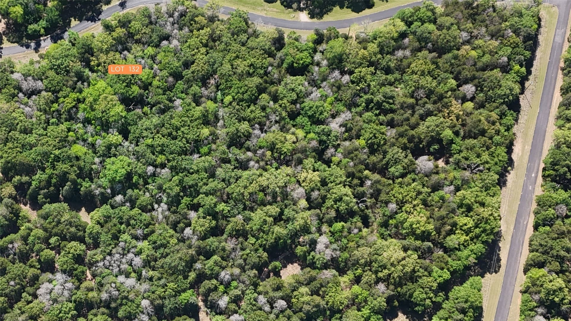 1.34 acres in Freestone County - photo 16