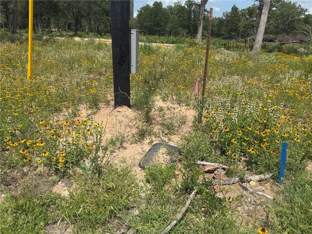 0.93 acres in Burleson County gallery image 3