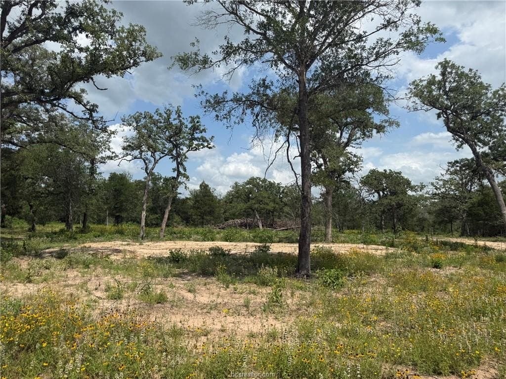 0.93 acres in Burleson County