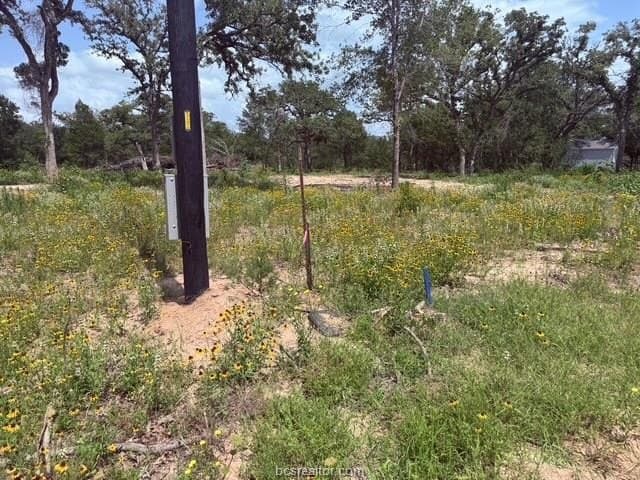 0.93 acres in Burleson County gallery image 2