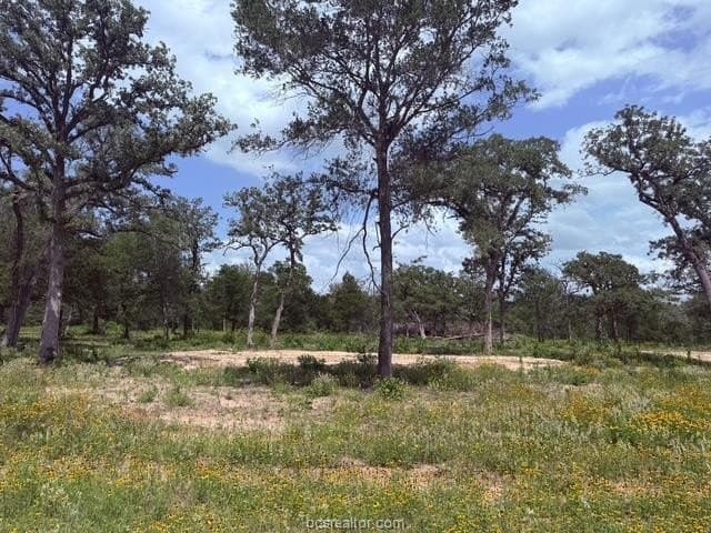 0.93 acres in Burleson County featured view