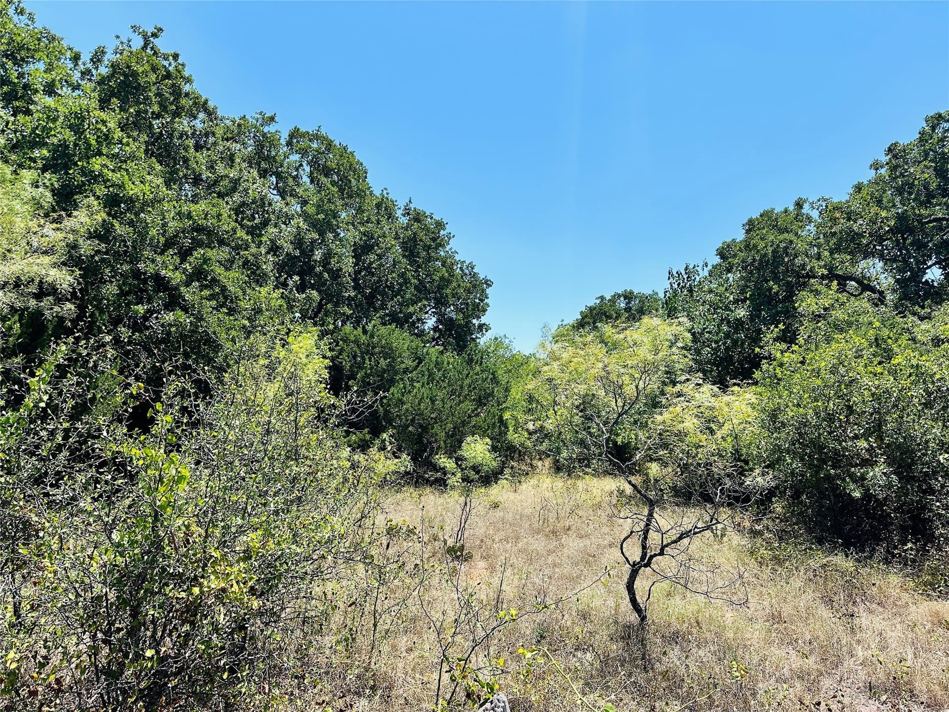 10.99 acres in Brown County - photo 12