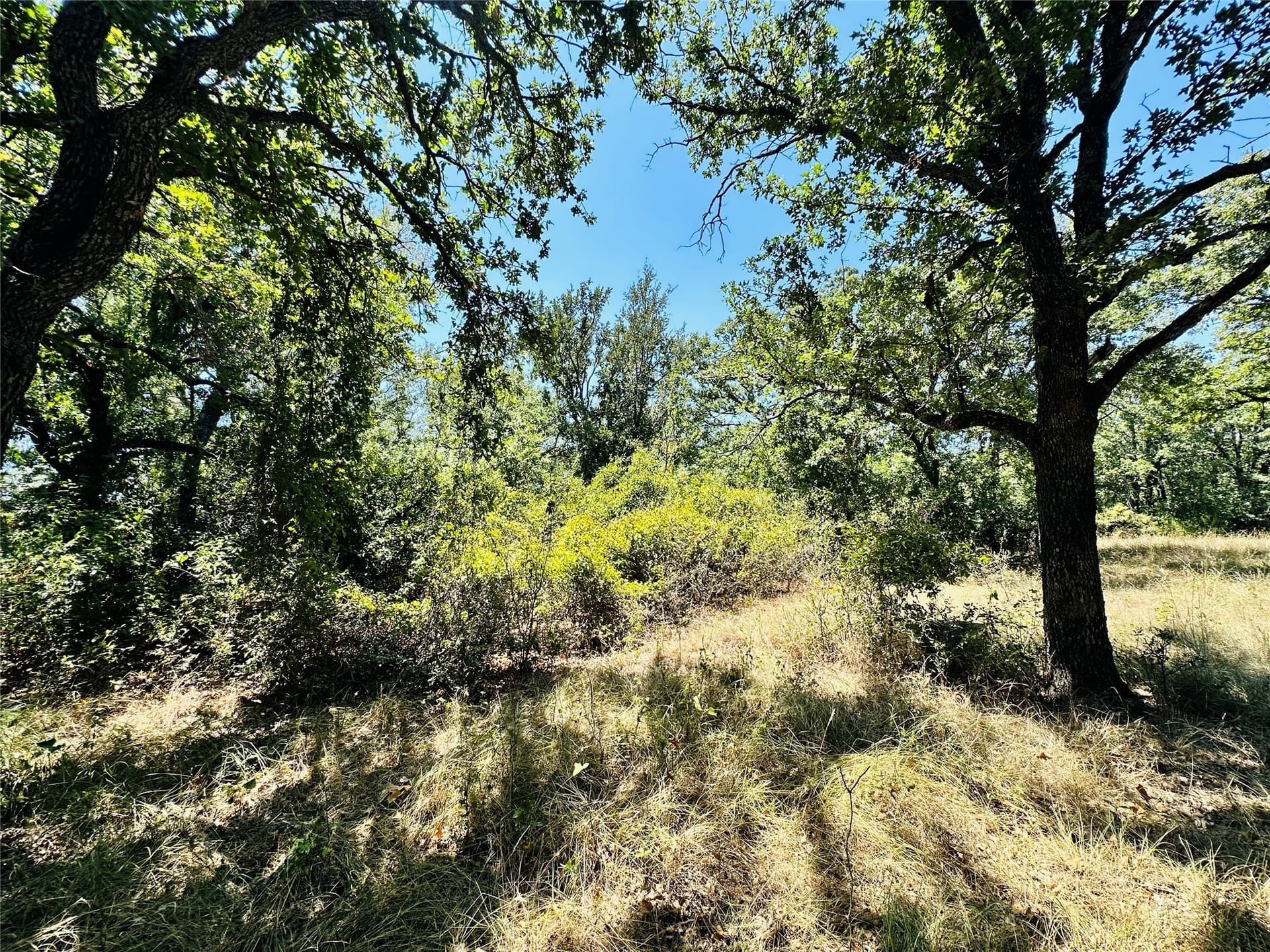 10.99 acres in Brown County - photo 13