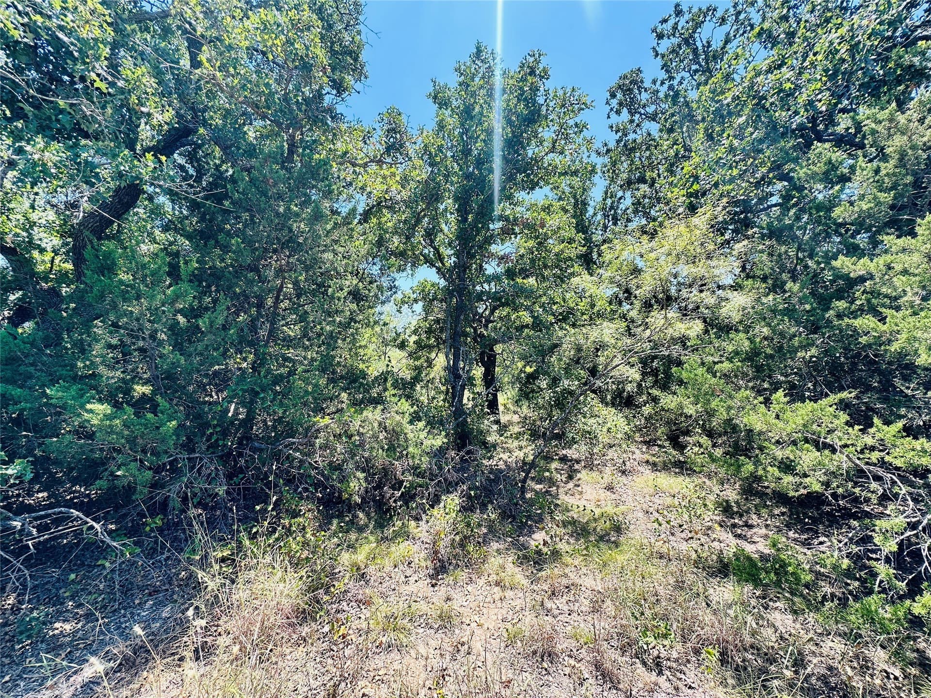 10.99 acres in Brown County - photo 5