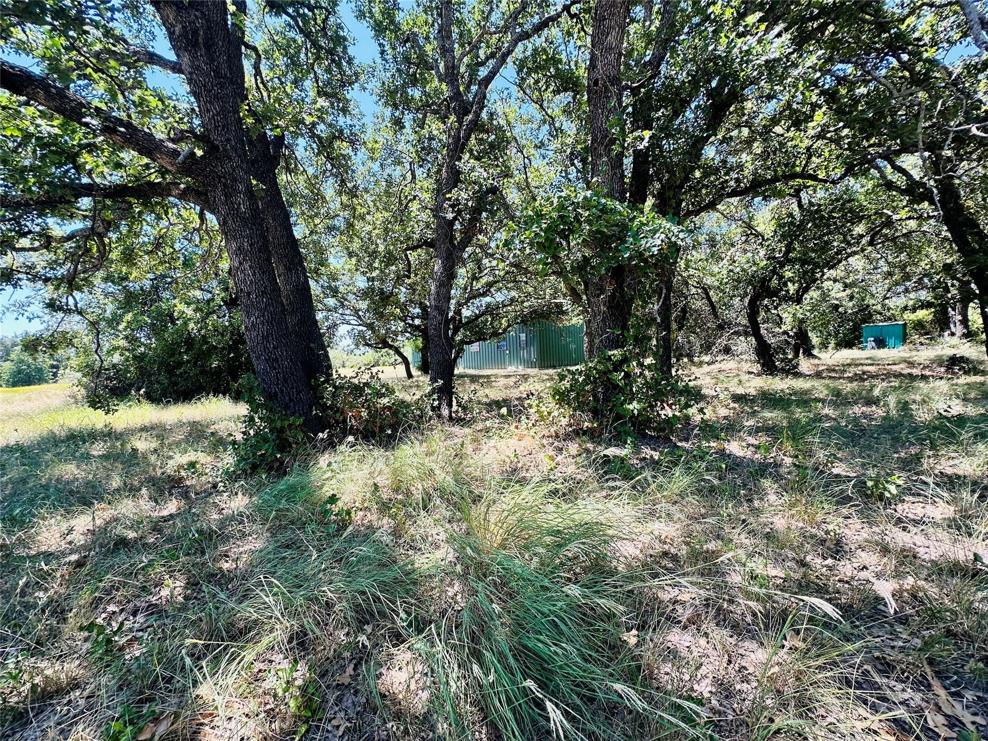 10.99 acres in Brown County - photo 6