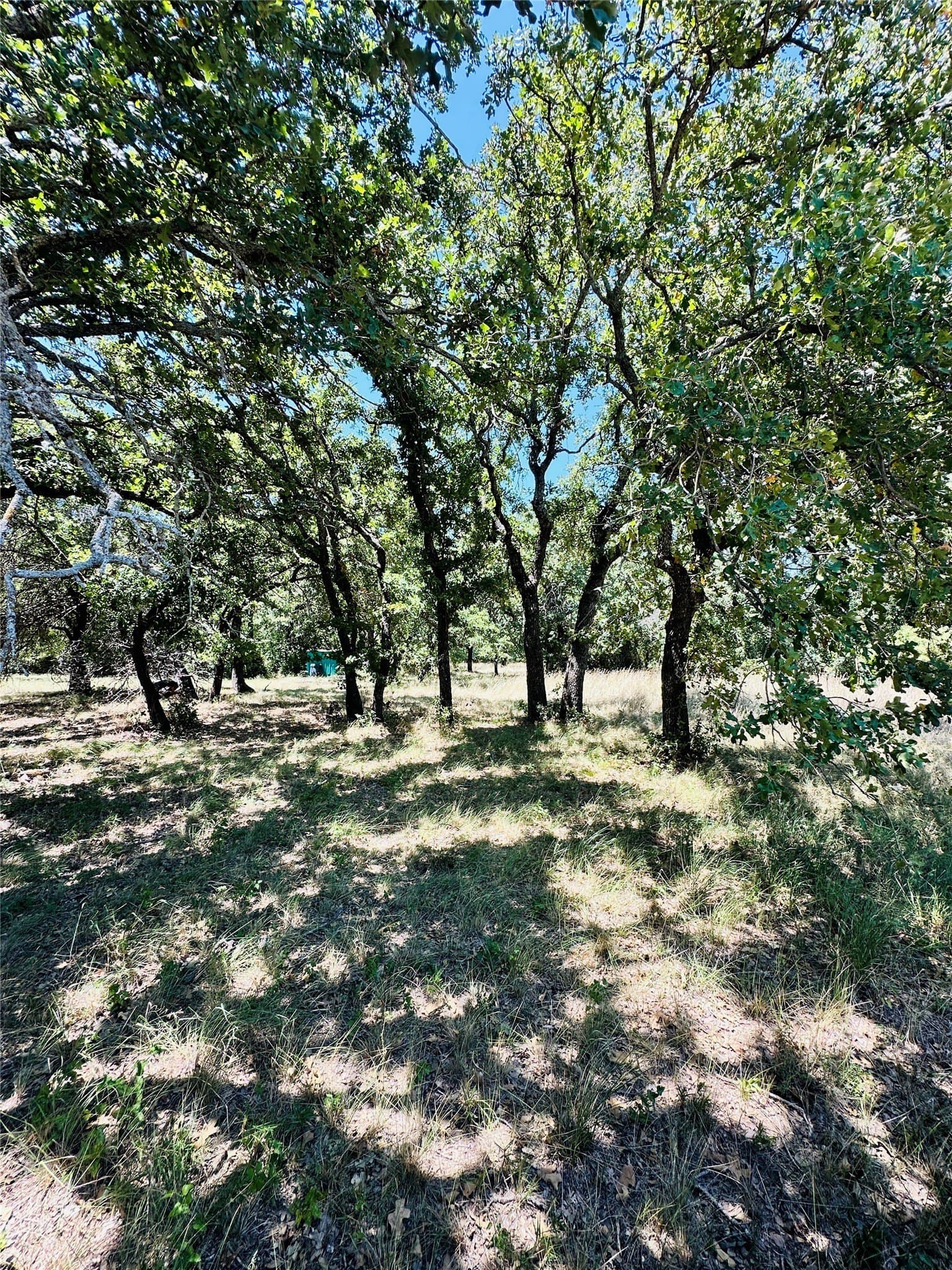 10.99 acres in Brown County - photo 7