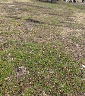 0.07 acres in Ellis County gallery image 2