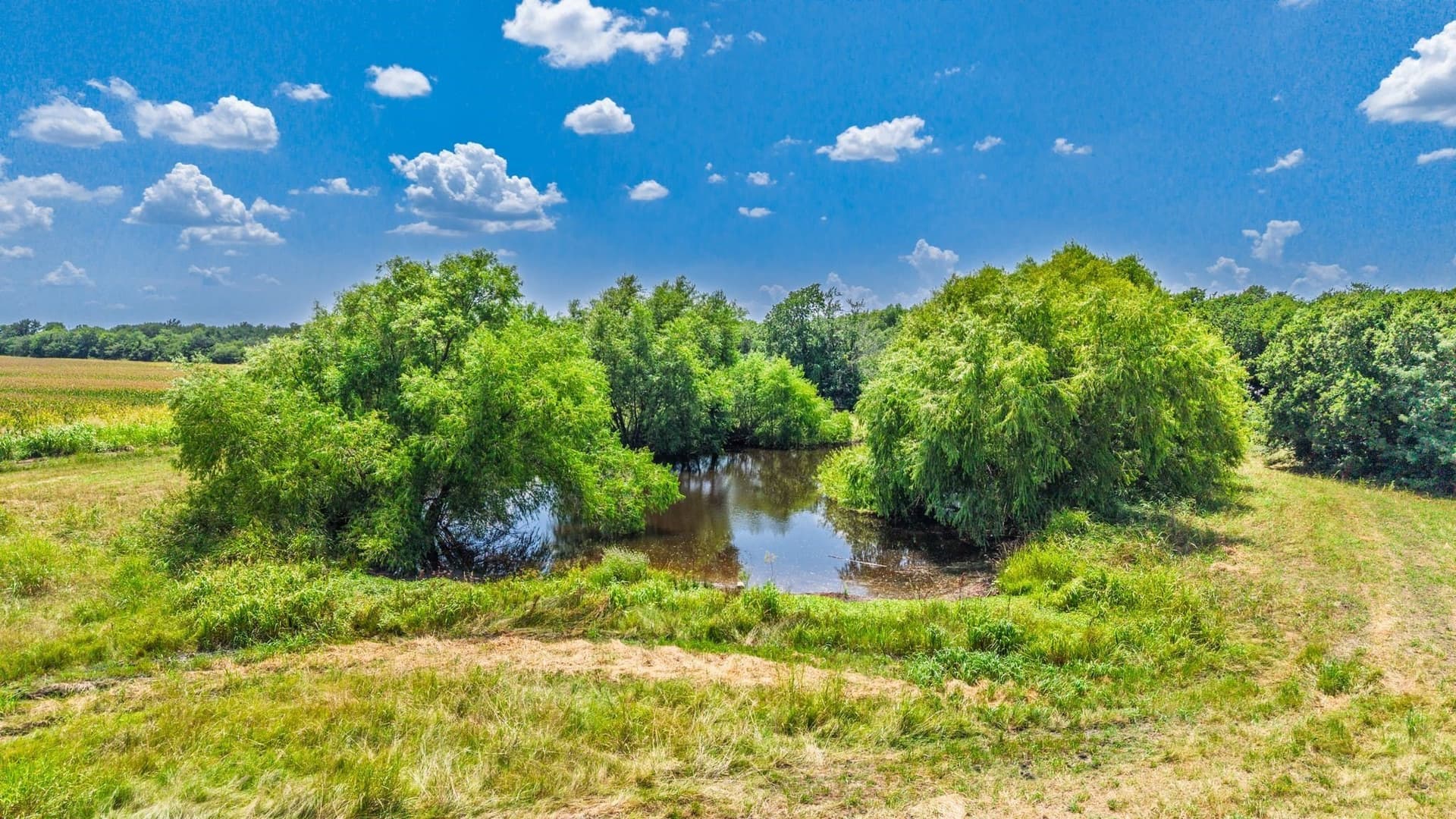 48.12 acres in Hunt County gallery image 3