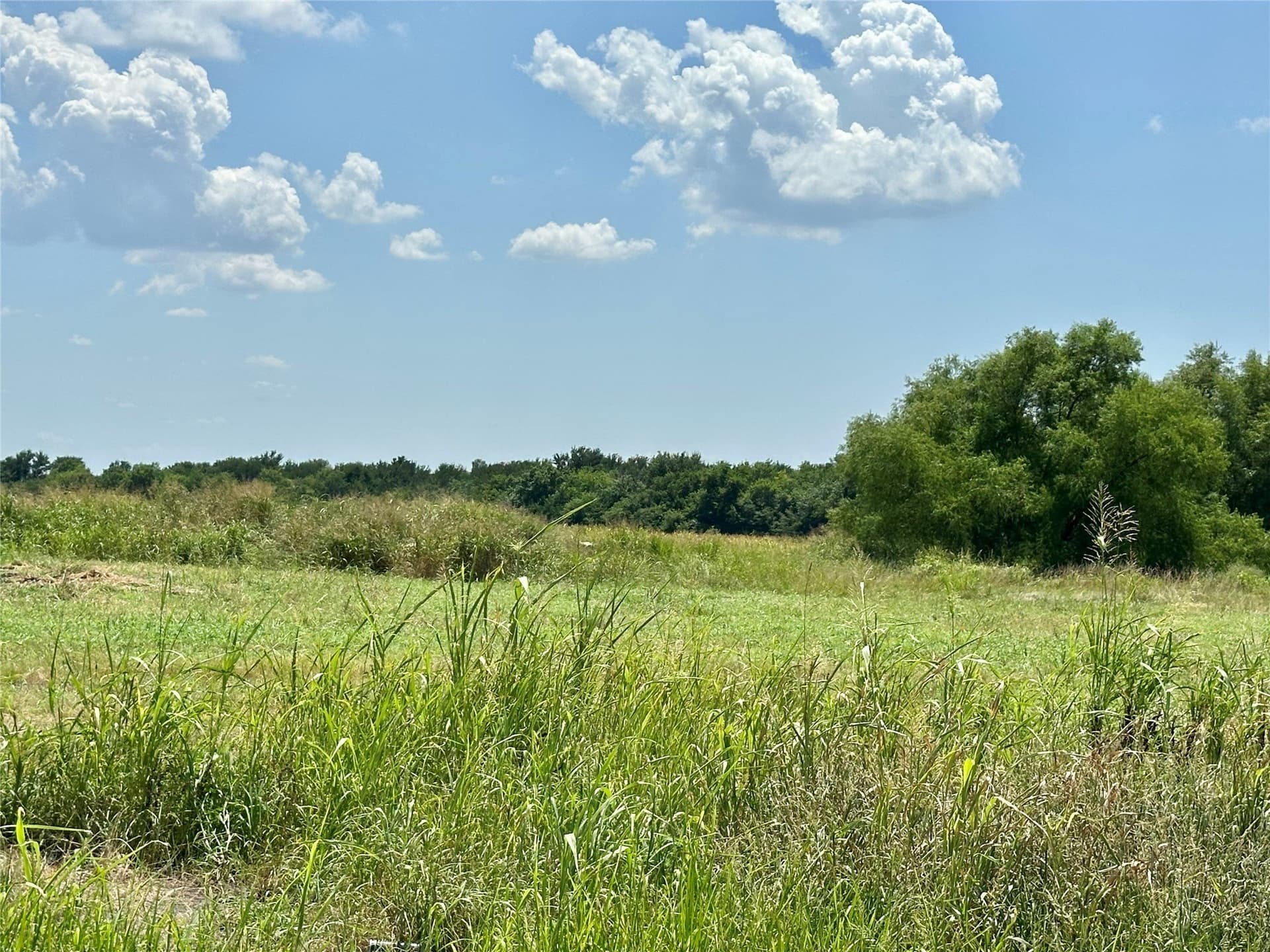 48.12 acres in Hunt County - photo 11