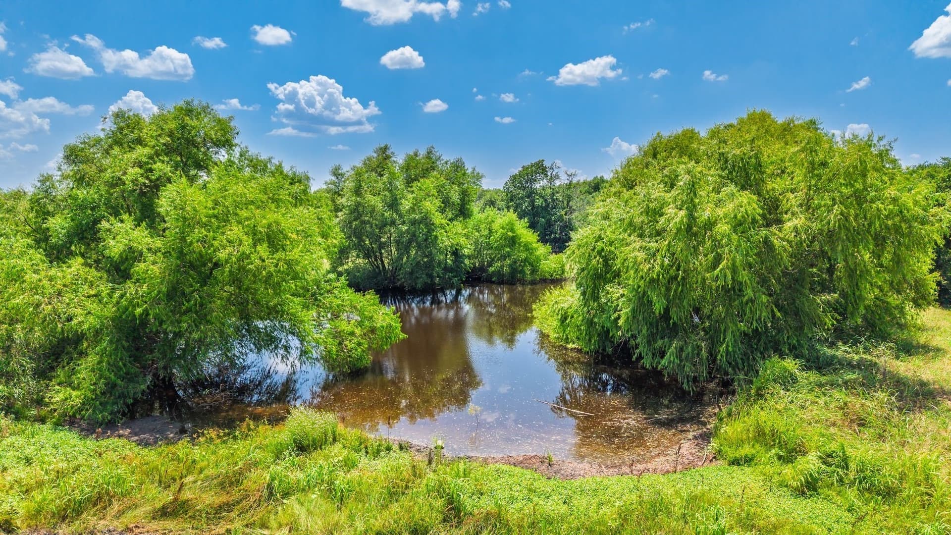 48.12 acres in Hunt County - photo 15