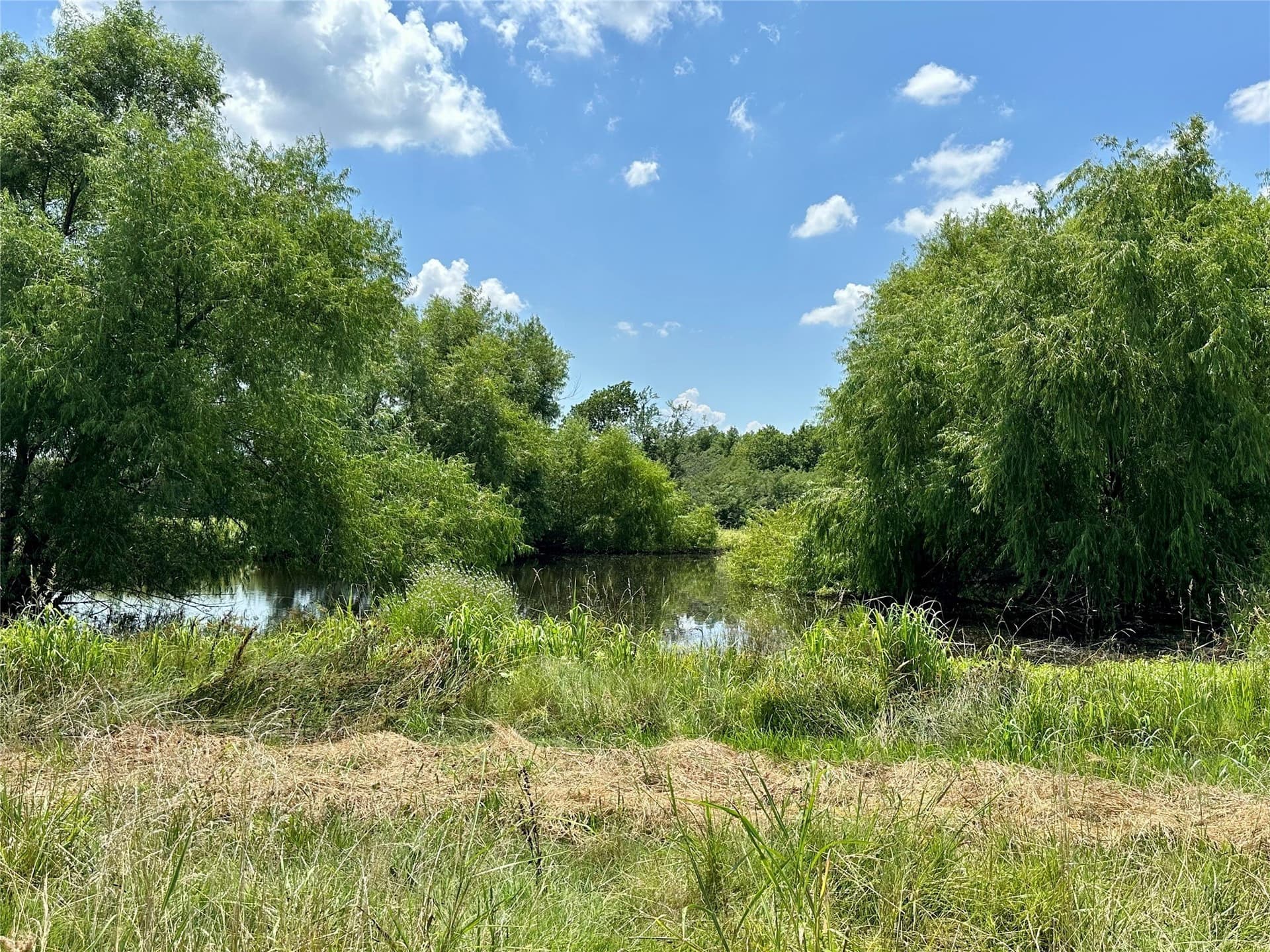 48.12 acres in Hunt County - photo 14