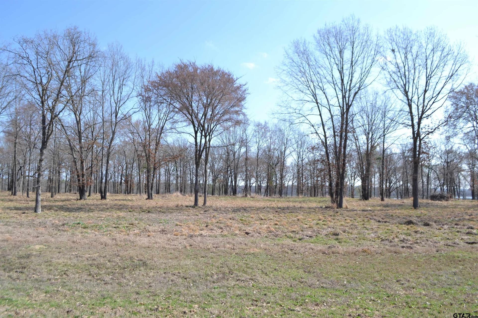 1.01 acres in Wood County - photo 6