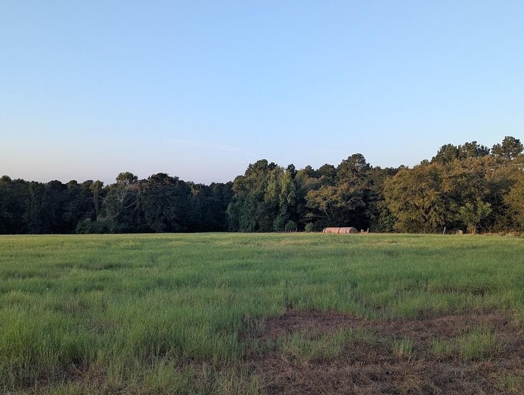 15.5 acres in Texas County - photo 5