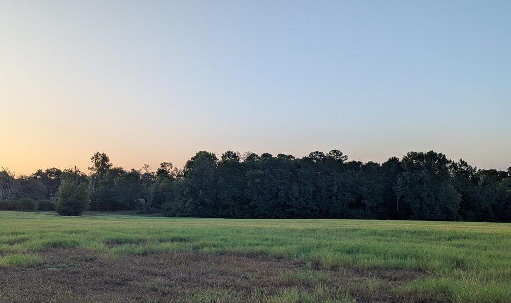 15.5 acres in Texas County - photo 3