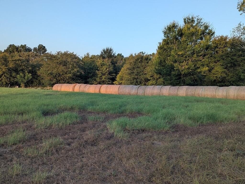 15.5 acres in Texas County - photo 11