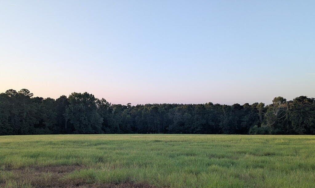 15.5 acres in Texas County - photo 2