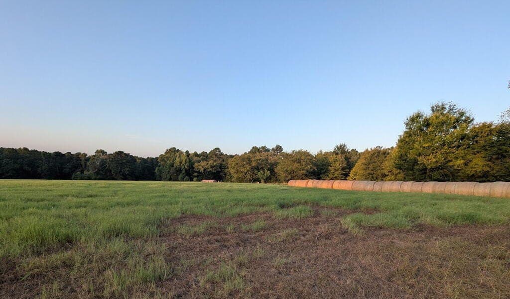 15.5 acres in Texas County - photo 4