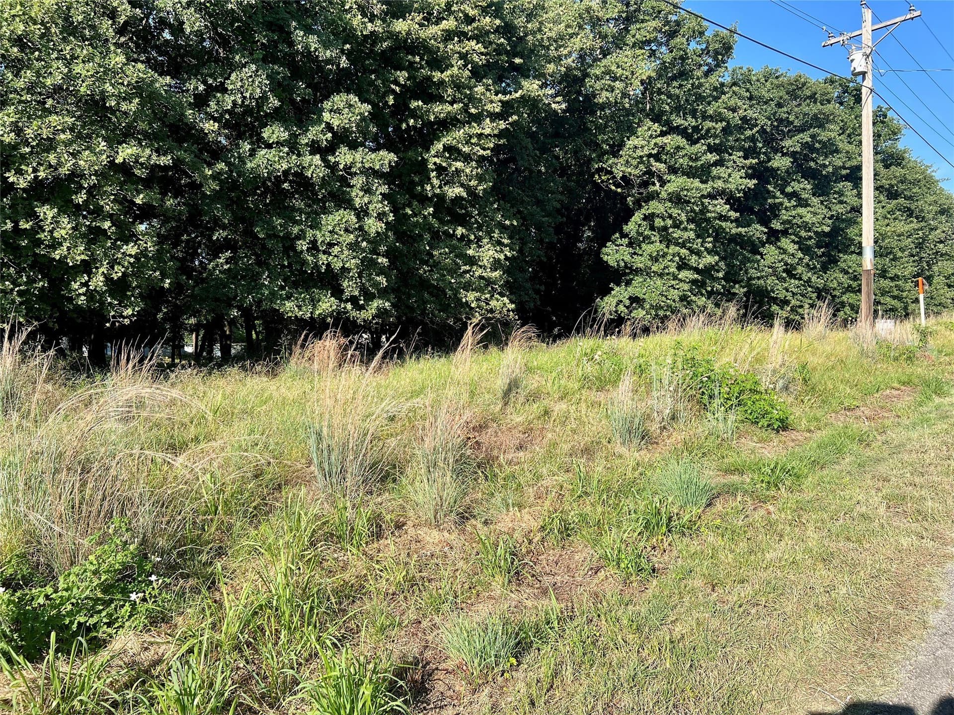 0.55 acres in Montague County - photo 6