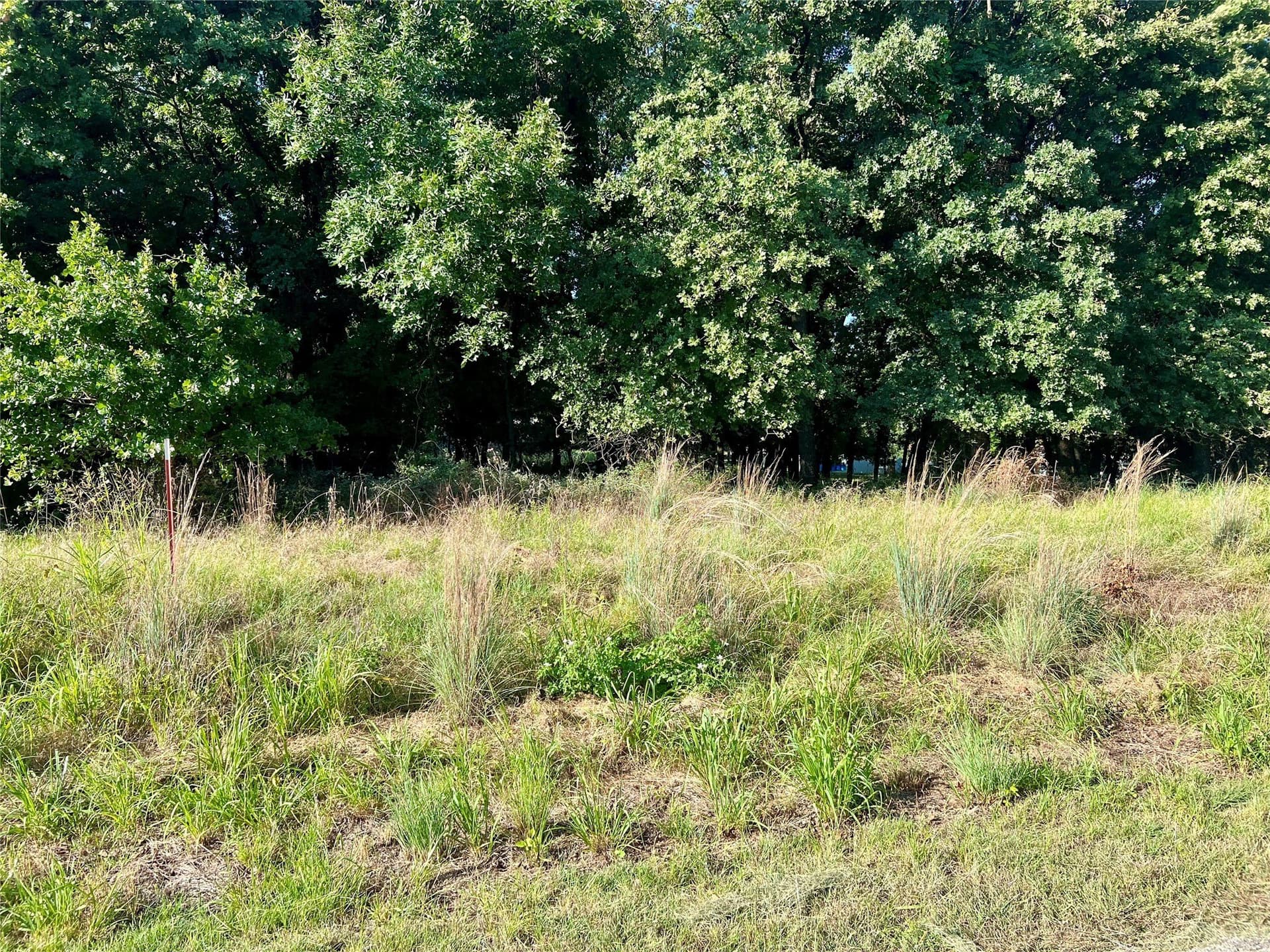 0.55 acres in Montague County - photo 4