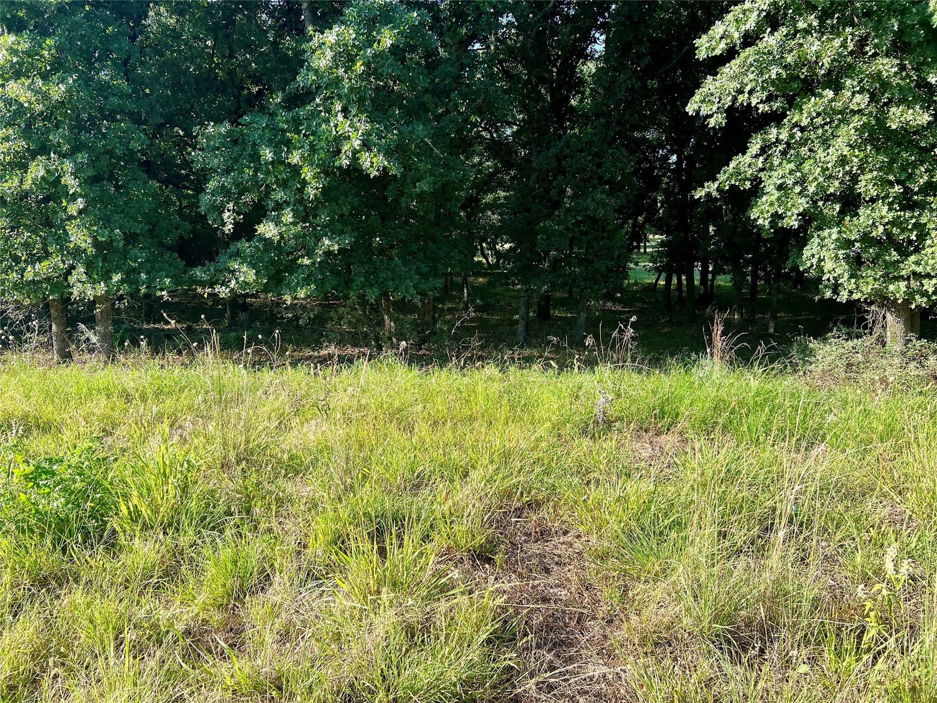 0.55 acres in Montague County - photo 2