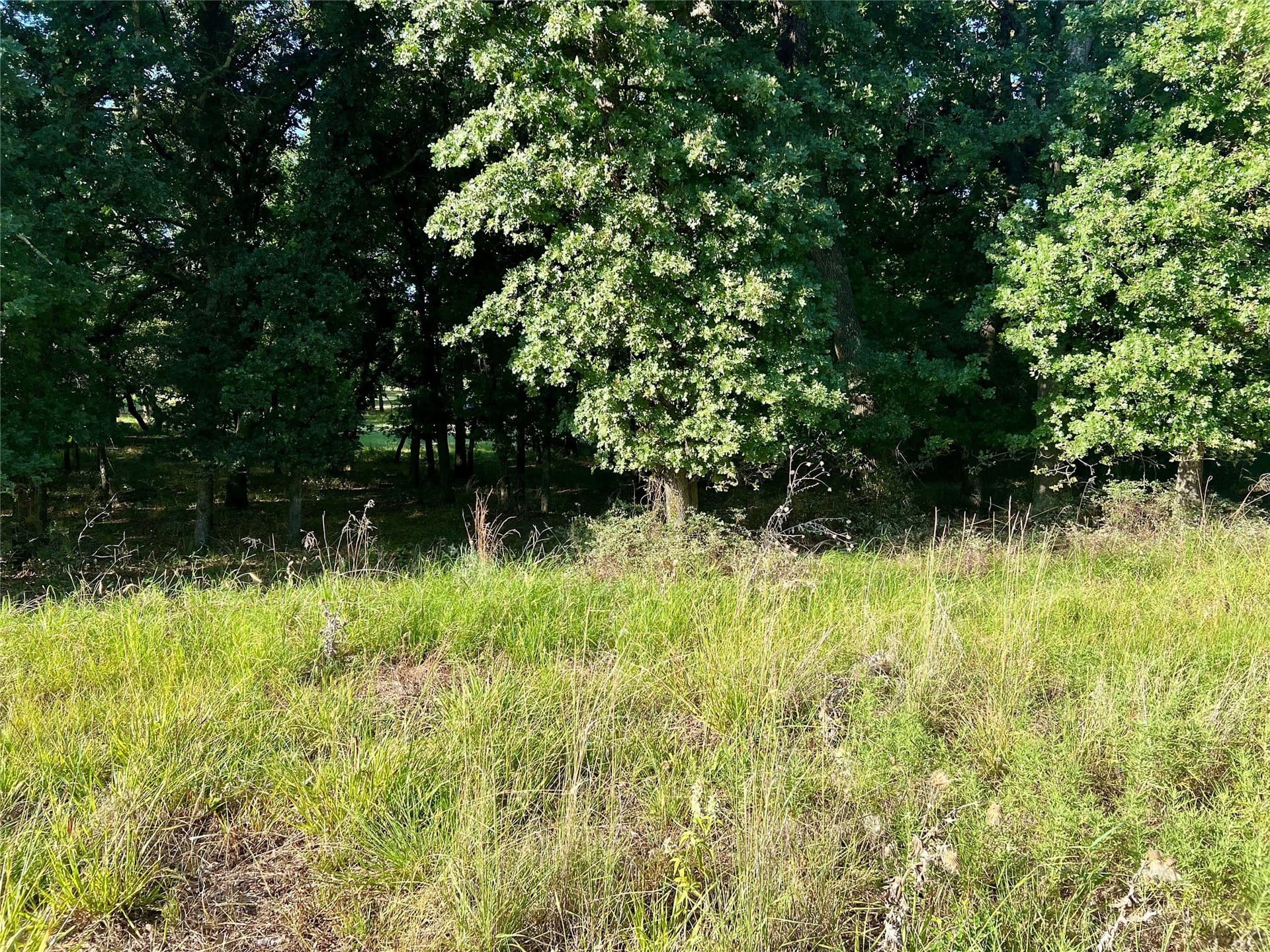 0.55 acres in Montague County - photo 5