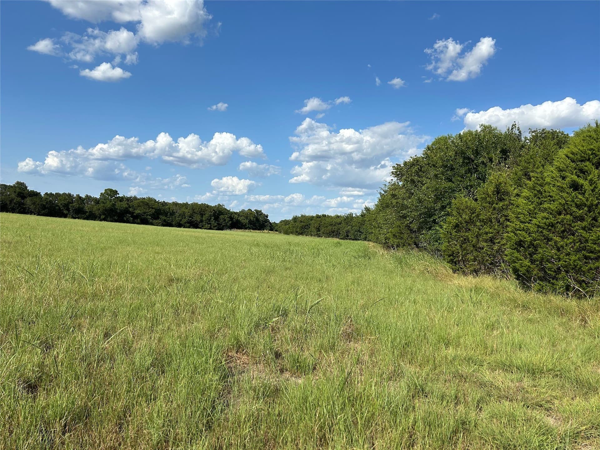 34.89 acres in Bosque County - photo 3
