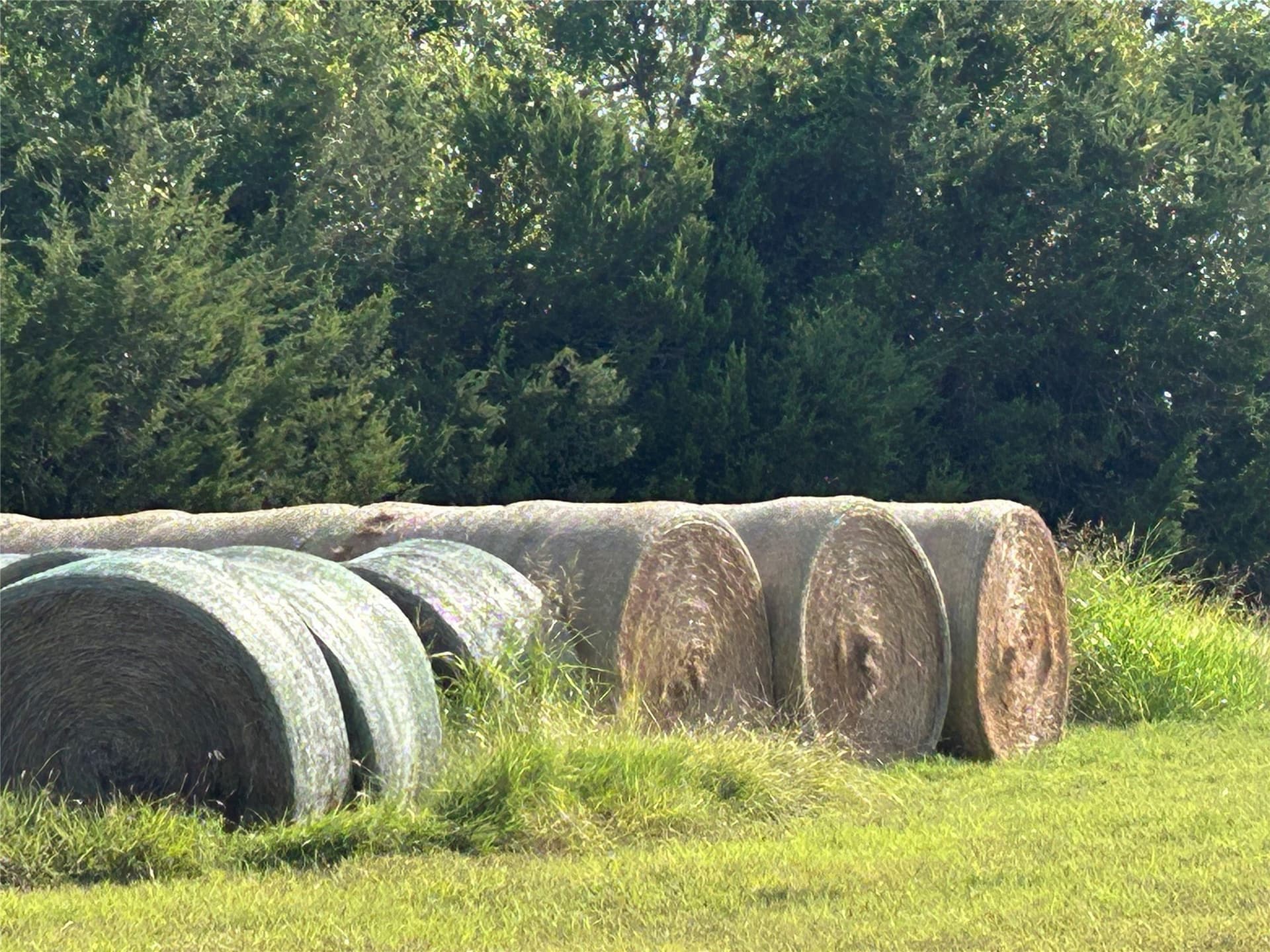34.89 acres in Bosque County - photo 8