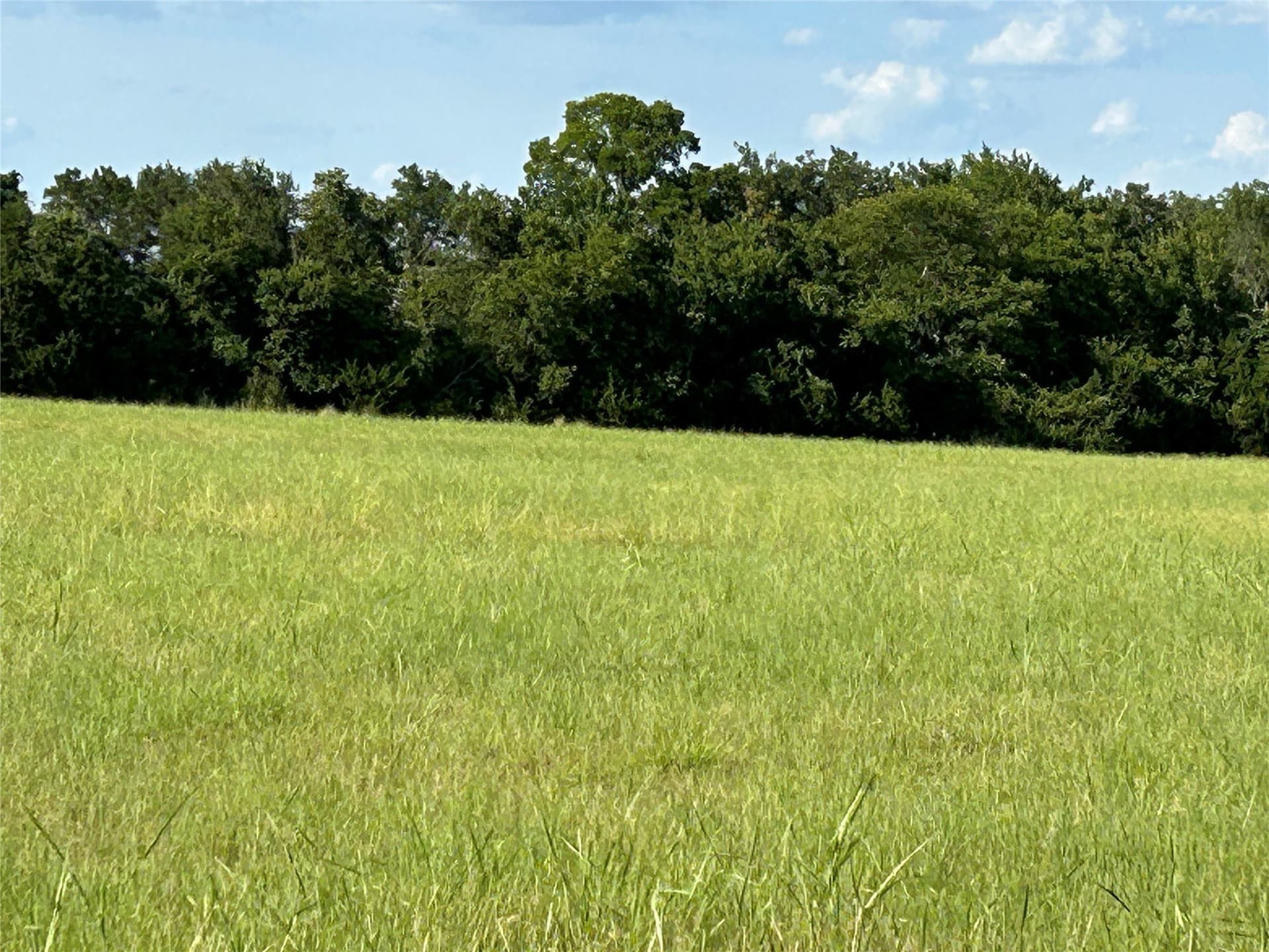 34.89 acres in Bosque County - photo 10