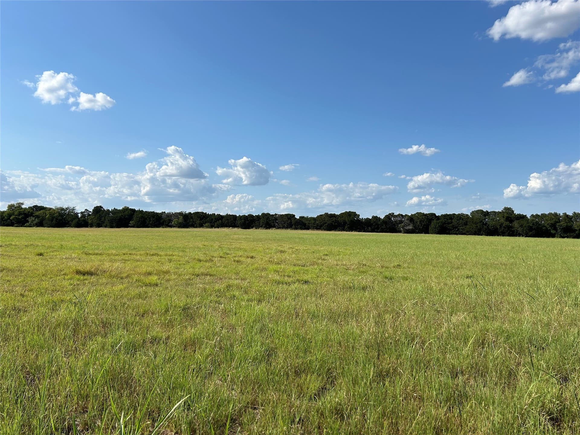 34.89 acres in Bosque County - photo 4