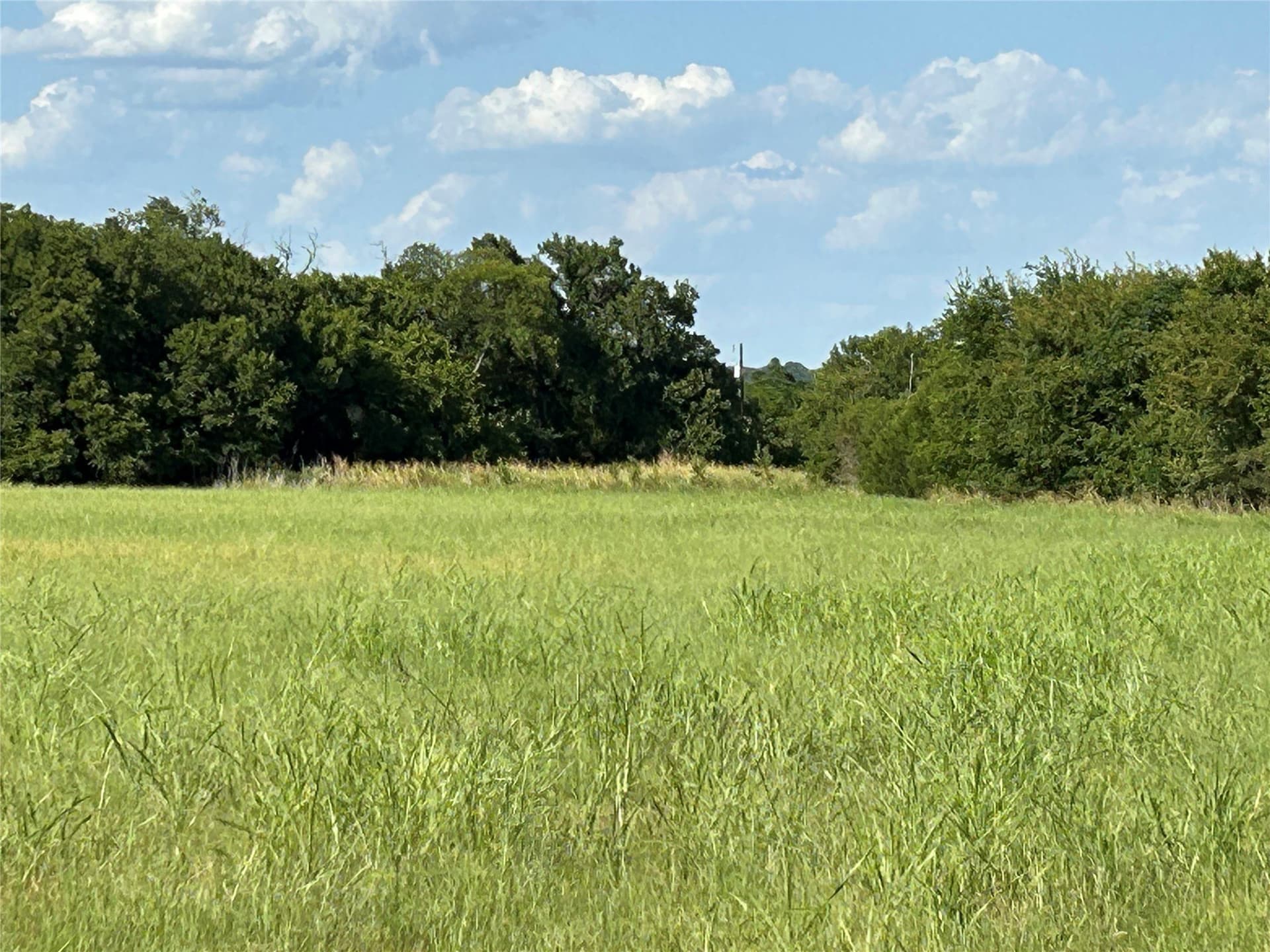 34.89 acres in Bosque County - photo 9