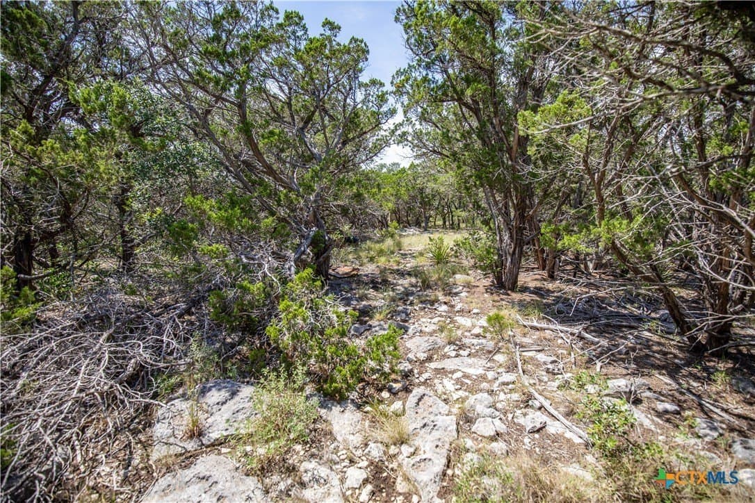 16.9 acres in Bandera County - photo 38