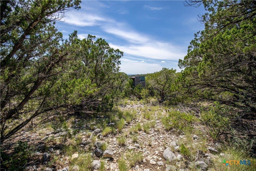 16.9 acres in Bandera County - photo 33