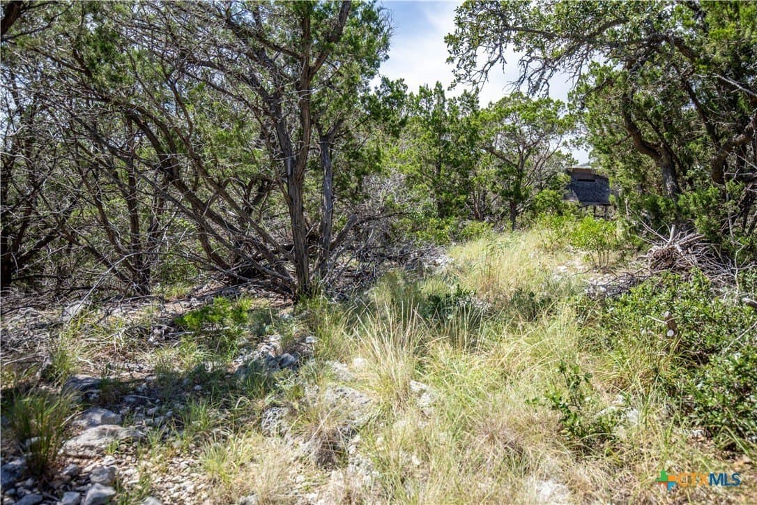 16.9 acres in Bandera County - photo 32