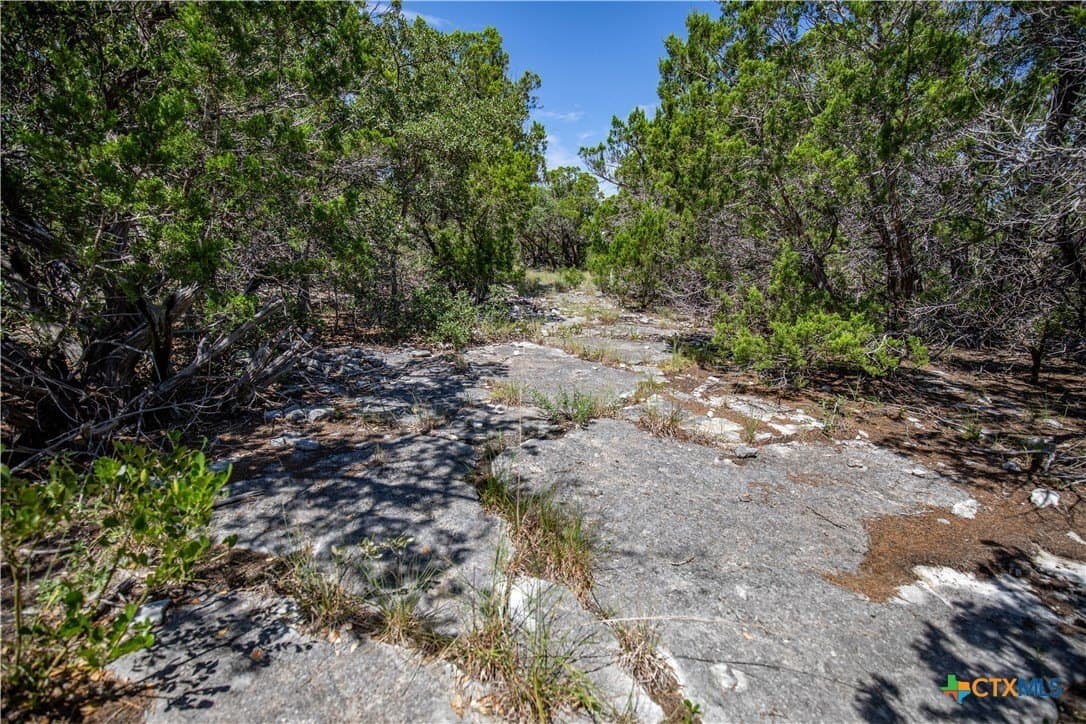 16.9 acres in Bandera County - photo 25