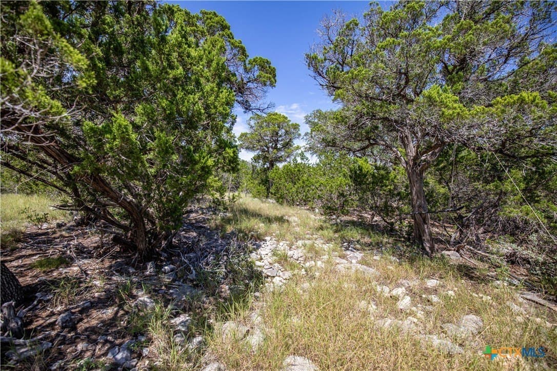 16.9 acres in Bandera County - photo 26